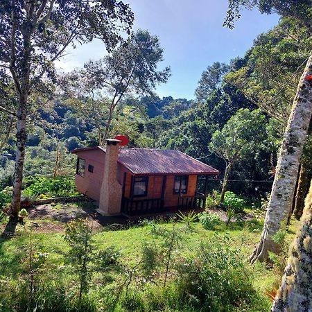 Las Bromelias Lodge Paso Macho Exteriér fotografie