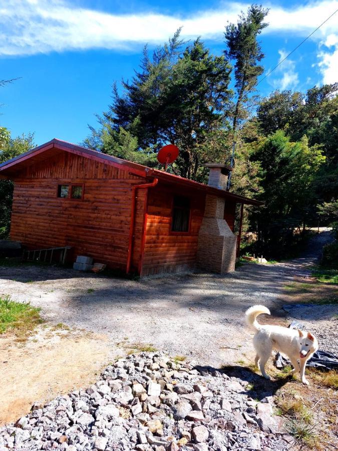 Las Bromelias Lodge Paso Macho Exteriér fotografie